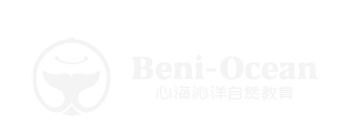 Beni Ocean